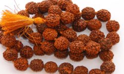 ग्रह, राशि तथा नक्षत्र अनुरुप रुद्राक्ष