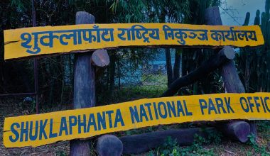 शुक्लाफाँटामा वन्यजन्तुको आहारा पहिचान गरिँदै