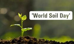 National Soil Conservation Day being marked today