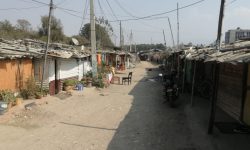 सुकुम्बासी समस्याको दिगो समाधान खोजी