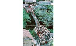 फलिया साँघु