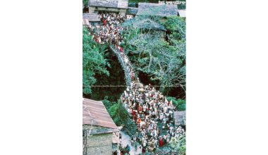 फलिया साँघु