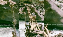 लमजुङको बाँसको पुल (फड्के)