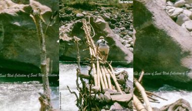 लमजुङको बाँसको पुल (फड्के)