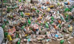 सिंगल युज प्लास्टिक ठूलो समस्या