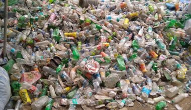 सिंगल युज प्लास्टिक ठूलो समस्या