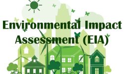 EIA for construction of road inside national park