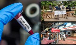 भारतको केरलामा दुई जनाको ज्यान लिएको निपा भाइरस के हो ?