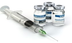 नवलपुरमा रेबिज विरुद्धको भ्याक्सिन अभाव