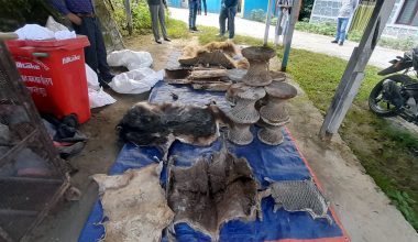 वन्यजन्तुको आखेटोपहार चितवन पठाउने तयारी