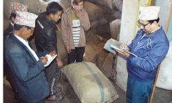 अलैँचीको मूल्यवृद्धिले किसान उत्साहित