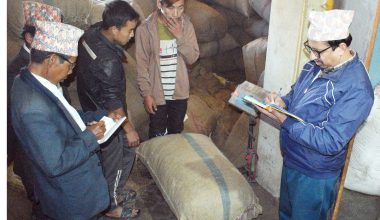 अलैँचीको मूल्यवृद्धिले किसान उत्साहित