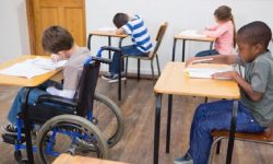 शारीरिक रुपमा अशक्त बालबालिकालाई छुट्टाछुट्टै पढ्ने व्यवस्था