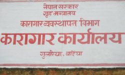 बर्दिया कारागारबाट कैदी फरार