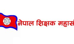 विधेयकप्रति असन्तुष्टि जनाउँदै शिक्षक महासङ्घ धर्नामा