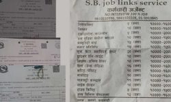 अनधिकृत प्रचार सामग्री टाँस्नेलाई काठमाडौं महानगरले तिरायो जरिवाना