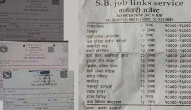 अनधिकृत प्रचार सामग्री टाँस्नेलाई काठमाडौं महानगरले तिरायो जरिवाना