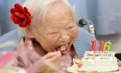 जापानमा १०० वर्षभन्दा माथिका मानिसको संख्या ९२ हजार