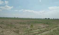 हजारौँ हेक्टर जग्गा अतिक्रमणको चपेटामा