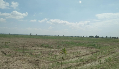 हजारौँ हेक्टर जग्गा अतिक्रमणको चपेटामा