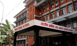 आज निजामती सेवा दिवस : विभिन्न कार्यक्रम गरी मनाइँदै