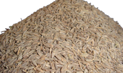 जिराको भाउ दोब्बरभन्दा बढी