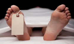 स्क्रब टाइफसबाट एक महिलाको मृत्यु