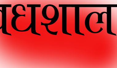 व्यवस्थित पशु बधशालाप्रति महानगरको चासो