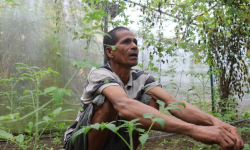 तरकारी खेतीबाट पैसा फलाउँदै पर्सेनीका किसान