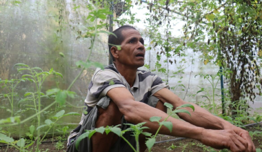 तरकारी खेतीबाट पैसा फलाउँदै पर्सेनीका किसान