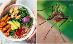 प्लेटलेट्स घट्दा खानुपर्ने खानेकुरा