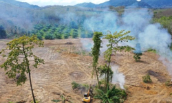 कार्बन उत्सर्जनलाई प्रदूषण मान्न अपिल