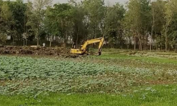 मासिँदै छन् बुद्धकालीन पोखरी