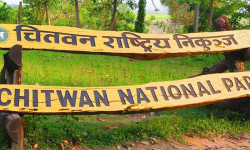 निकुञ्जले अतिक्रमित २२ टहरा हटायो