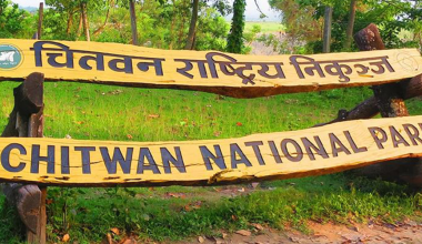 निकुञ्जले अतिक्रमित २२ टहरा हटायो