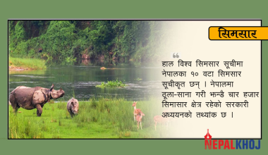 ‘पर्यावरण र जलचरका लागि उपयोगी सिमसार’