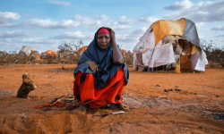 आठ महिनामा साढे पाँच लाखभन्दा बढी सोमाली विस्थापित 