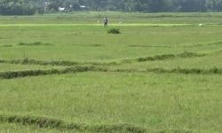 समाजसेवी चुकेद्वारा एक करोड बराबरको जग्गा लायन्स क्लवलाई दान