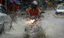 आधा घण्टाको वर्षाले जलेश्वर जलमग्न