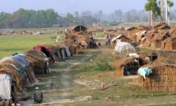 नदीको जग्गा कटानले मुक्त कमैया परिवार विस्थापित हुँदै