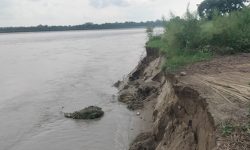 निरन्तर वर्षा : केही नदीमा जलसतह खतरास्तर नजिक