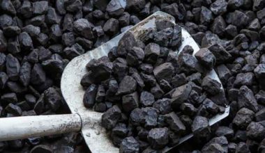 कोइला व्यवसायी अढाइ महिनादेखि सम्पर्कविहीन