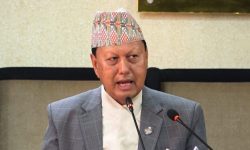 स्वास्थ्यमन्त्री बस्नेत इजिप्ट प्रस्थान