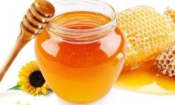 चितवनमा भोलिदेखि ‘मह उत्सव’