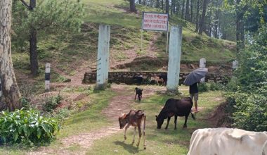 जब बैतडीको भताभुङ्ग हिरापुर पार्कका देवता रिसाए
