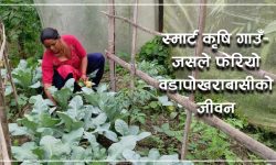 विषादी प्रयोग गर्न छोडेपछि कसरी भयो कृषि उत्पादनमा वृद्धि