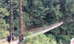 भर्याङ भुरुङको पुल