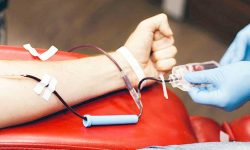 Bajimaya donates blood 53 times to save several lives