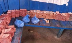 गोसाइँकुण्डमा तीनलाख भेटी सङ्कलन