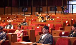 तत्काल ४० वटा कानुन बनाउन सरकारको ध्यानाकर्षण